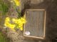 headstones/IMG_1056.JPG